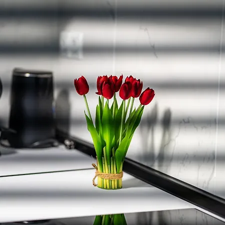 Apartment Feel Greek Hospitality #θ007 *